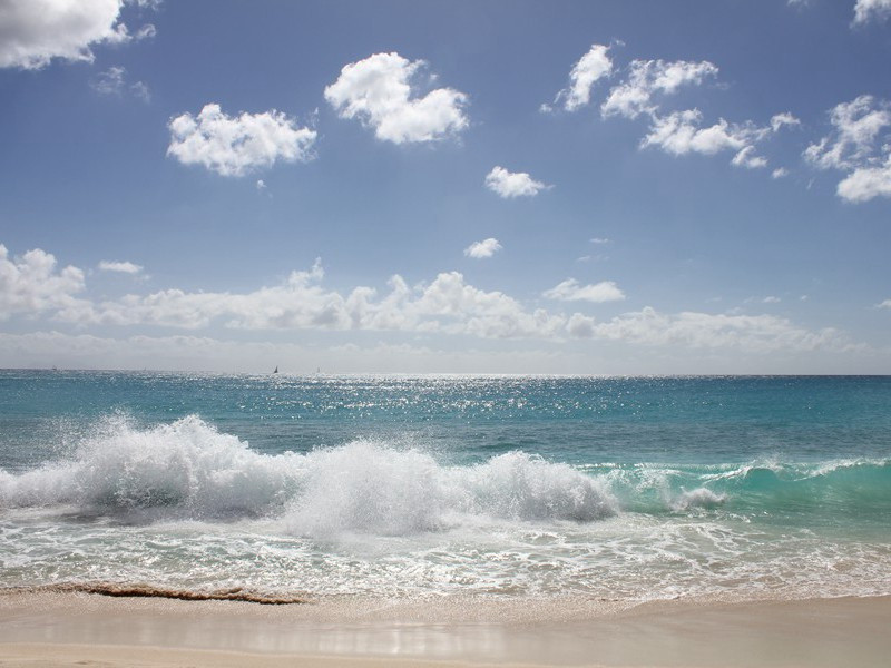 《二郎神·炎光谢》原文,宋)柳永古诗