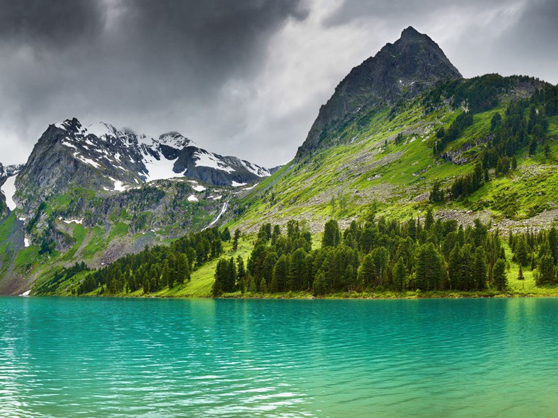 冉冉老将至,何时返故乡出处意思赏析