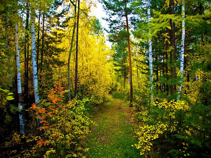 《旅夜书怀》古诗翻译赏析-杜甫古诗