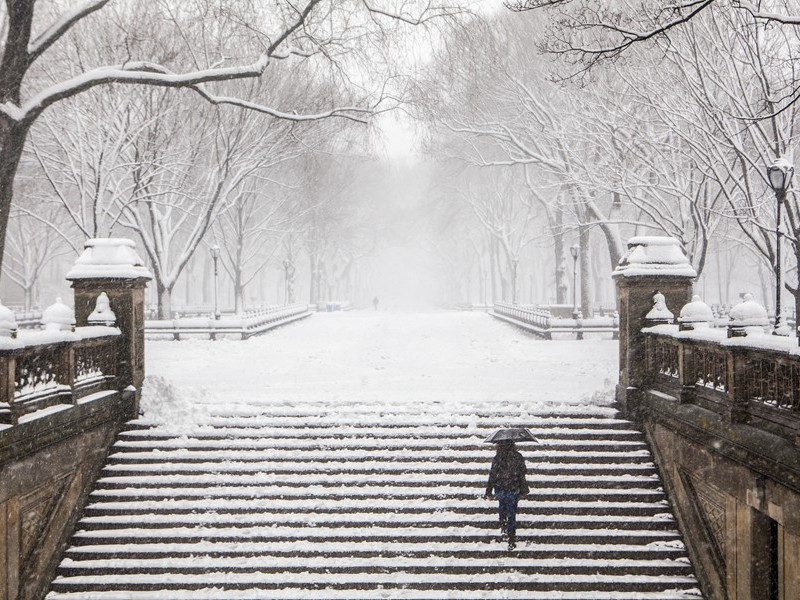 西风乱叶溪桥树,秋在黄花羞涩处出处意思赏析作者