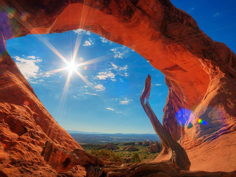 西风乱叶溪桥树,秋在黄花羞涩处出处意思赏析作者