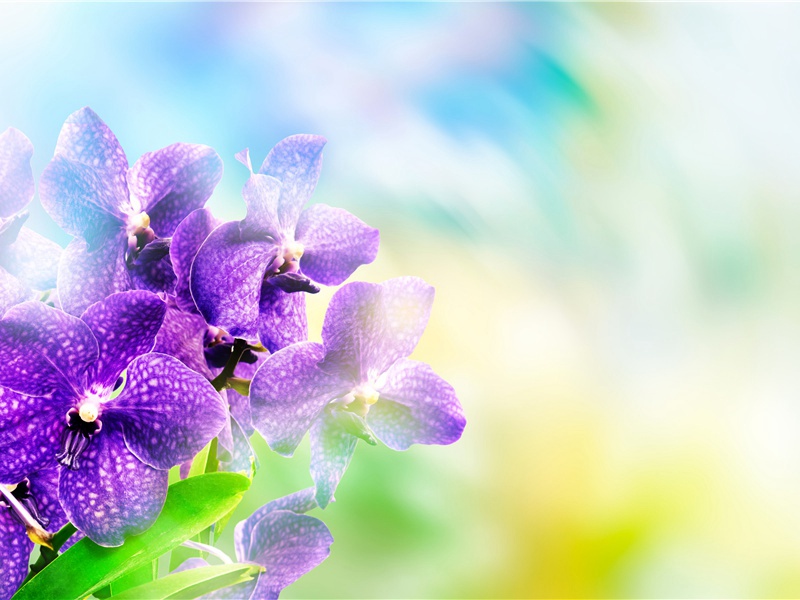 报君黄金台上意,提携玉龙为君死出处意思赏析作者