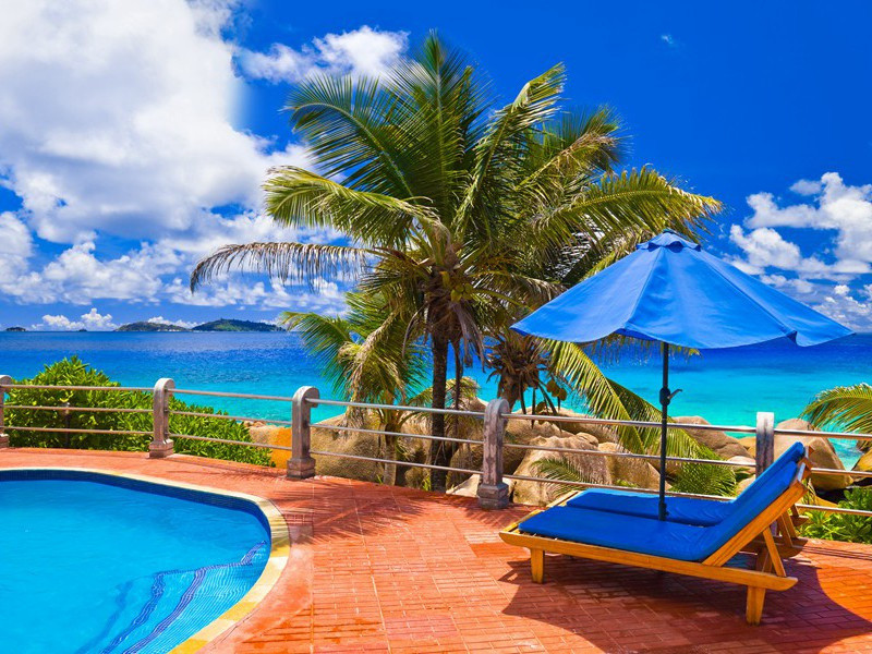 惜春更把残红折的意思出处赏析