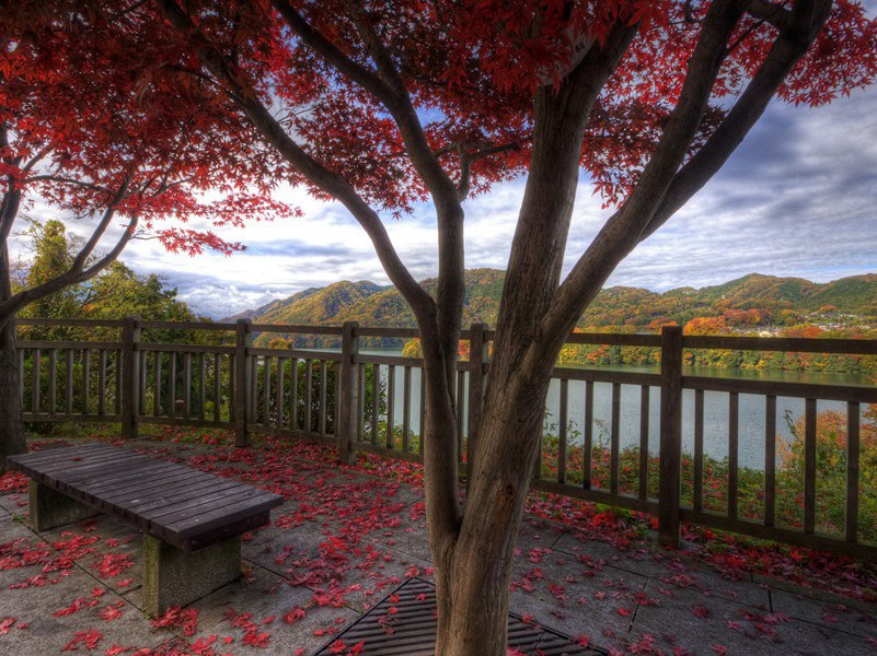 《浣纱女》古诗赏析-王昌龄古诗