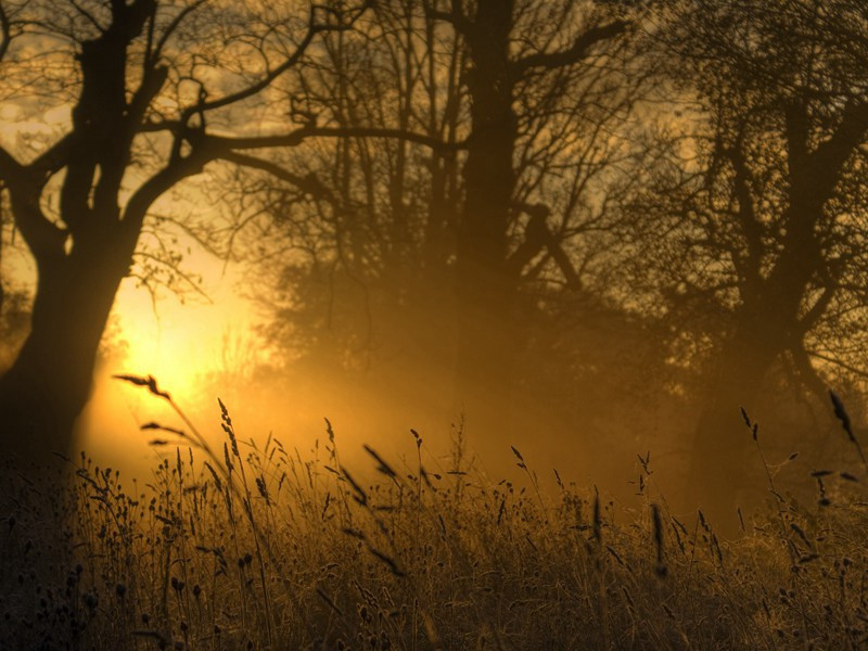 《减字木兰花·淮山隐隐》原文,宋)淮上女古诗