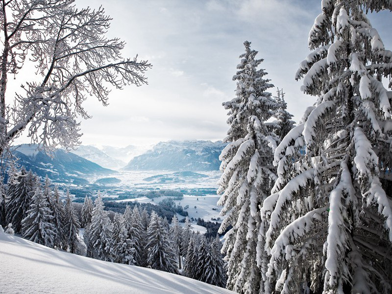 《空囊》古诗赏析-杜甫古诗