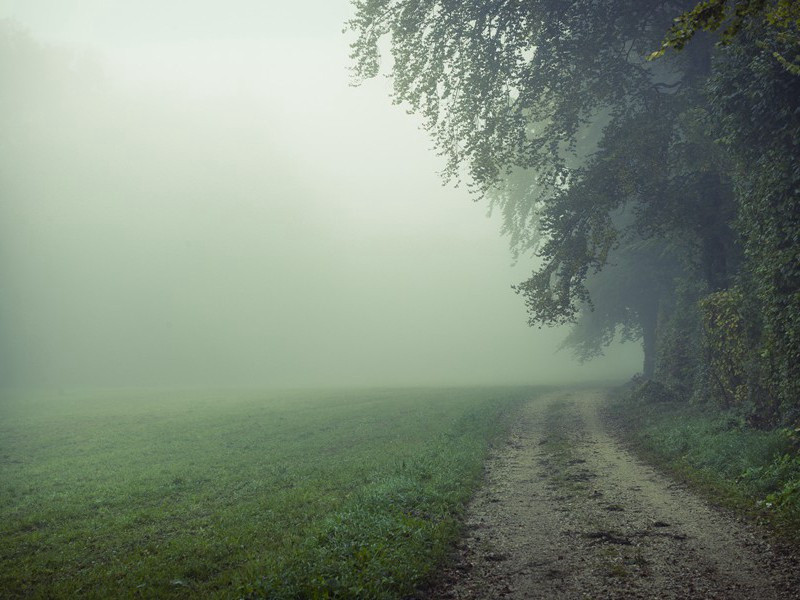 吴王宴罢满宫醉,日暮水漂花出城出处意思赏析