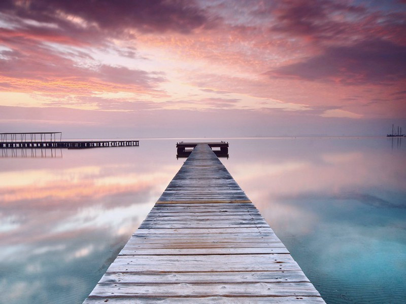 惟将迟暮供多病,未有涓埃答圣朝的出处意思赏析