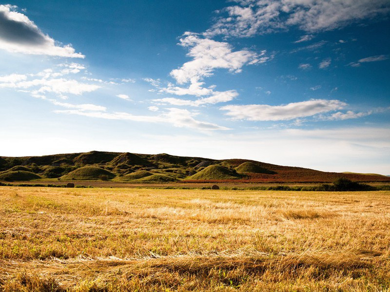 春风春雨花经眼,江北江南水拍天出处意思赏析