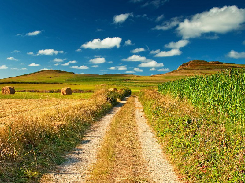 清明浆美村村卖,谷雨茶香院院夸出处意思赏析