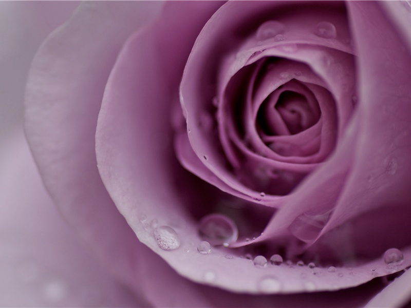 想当年,金戈铁马,气吞万里如虎的出处意思赏析