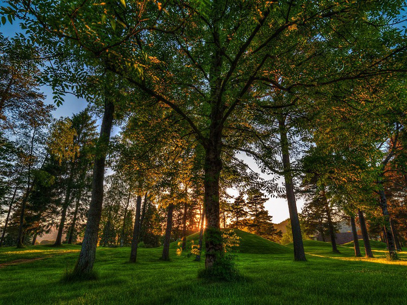 今古长如白练飞,一条界破青山色出处意思赏析