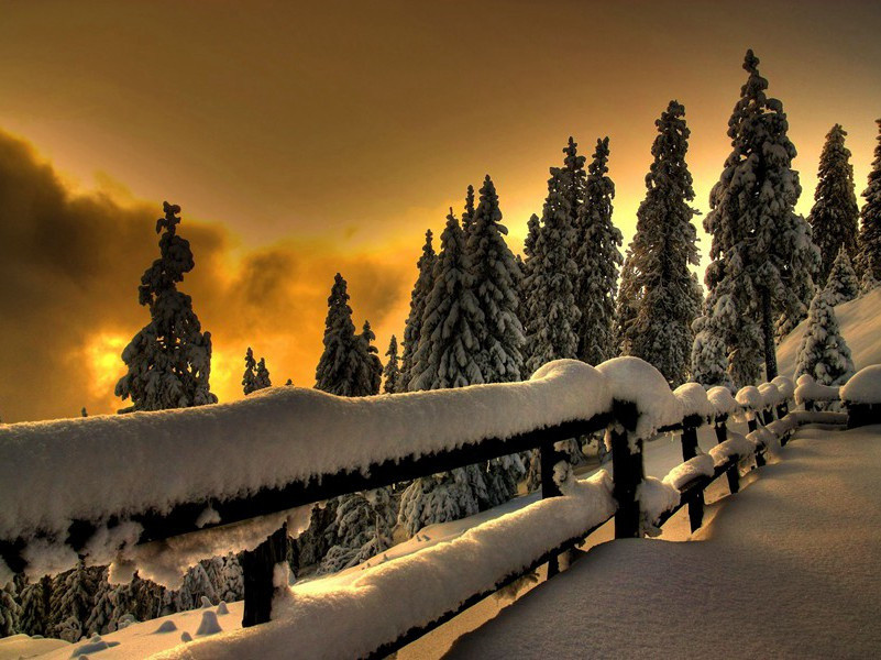 内府殷红玛瑙盘,婕妤传诏才人索的出处意思赏析