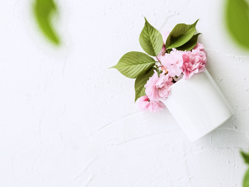 《无家别》古诗翻译赏析-杜甫古诗