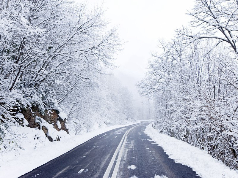 《茅屋为秋风所破歌》古诗翻译赏析-杜甫古诗