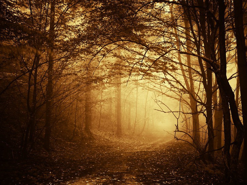 昨夜离心正郁陶,三更白露西风高出处意思赏析