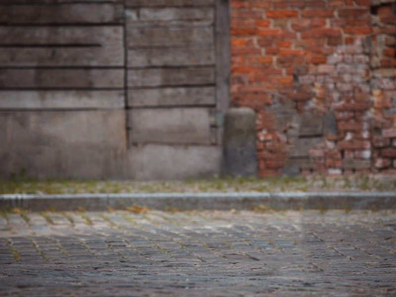 因招白衣人,笑酌黄花菊出处意思赏析