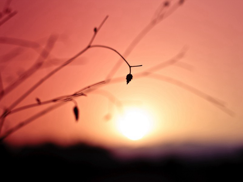 春风缘隙来,晨霤承檐滴出处意思赏析