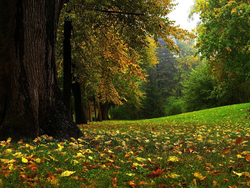 谩赢得青楼,薄幸名存的意思出处赏析