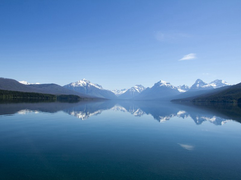 长夏村墟风日清,檐牙燕雀已生成出处翻译赏析