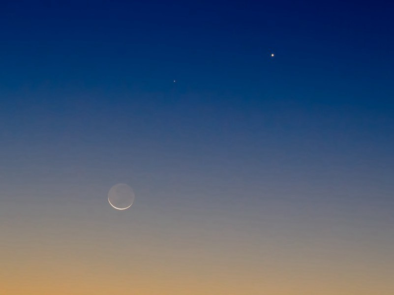 自春来惨绿愁红,芳心是事可可的意思出处赏析