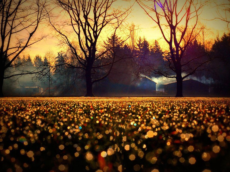 《虞美人·用李后主韵二首》原文,宋)刘辰翁古诗