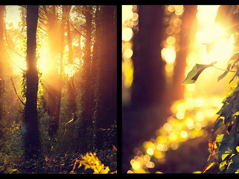 正当今夕断肠处,骊歌愁绝不忍听出处意思赏析