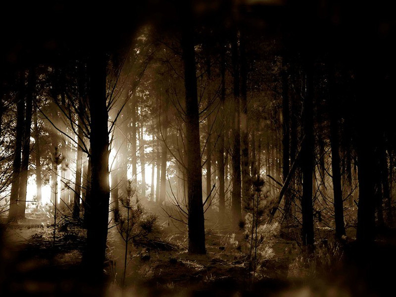 《访袁拾遗不遇》古诗翻译赏析-孟浩然古诗