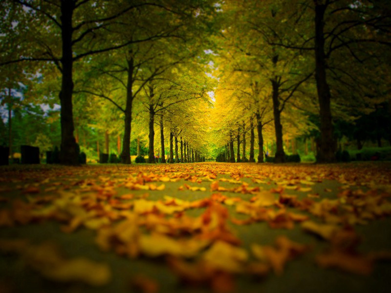 风萧萧兮易水寒,壮士一去兮不复还出处意思赏析