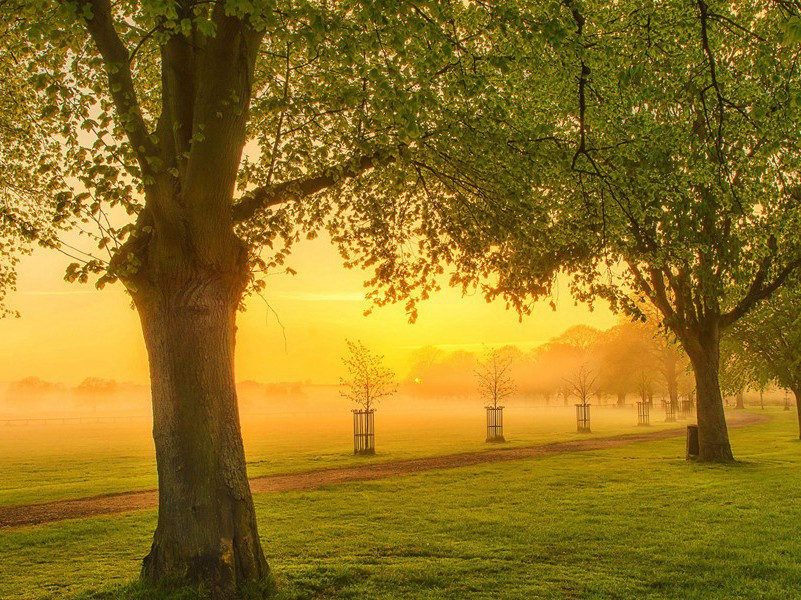 苦心岂免容蝼蚁,香叶终经宿鸾凤的出处意思赏析