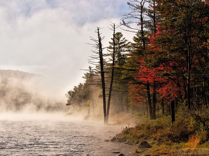 《蝶恋花·花褪残红青杏小》原文,宋)苏轼古诗