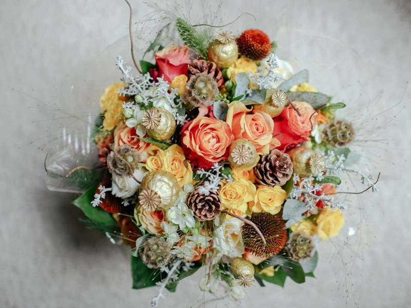 《行宫》古诗翻译赏析-元稹古诗