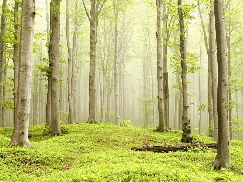 多情自古伤离别,更那堪冷落清秋节的出处意思赏析