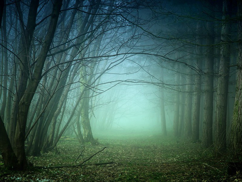 《兵车行》古诗翻译赏析-杜甫古诗