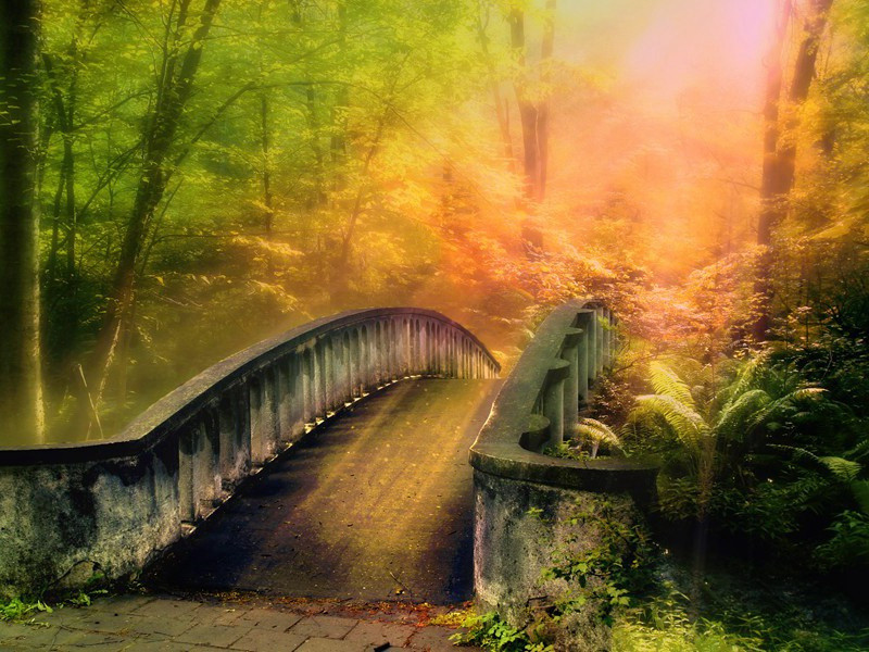 《石壕吏》古诗翻译赏析-杜甫古诗