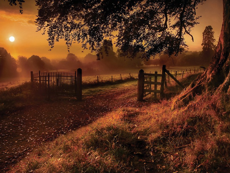 《茅屋为秋风所破歌》古诗翻译赏析-杜甫古诗