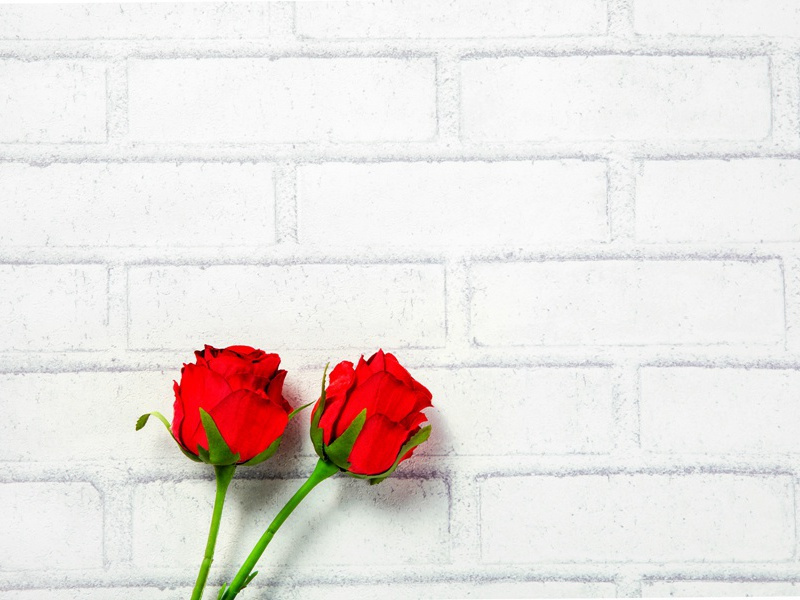 荒庭垂桔柚,古屋画龙蛇出处意思赏析