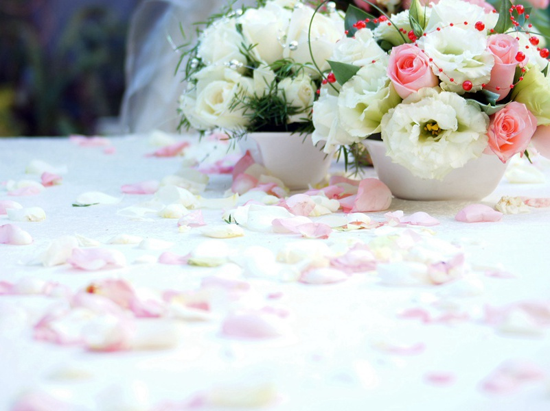 十年磨一剑,霜刃未曾试出处意思赏析