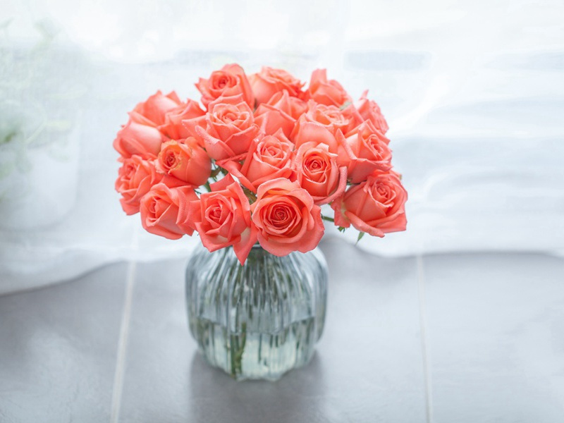 吴楚东南坼,乾坤日夜浮的出处意思赏析