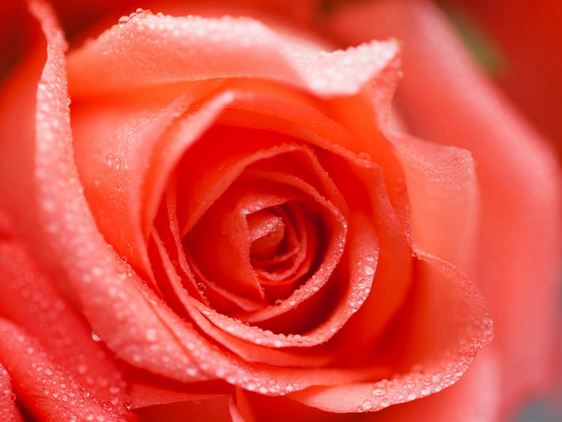 闽国扬帆去,蟾蜍亏复圆出处意思赏析