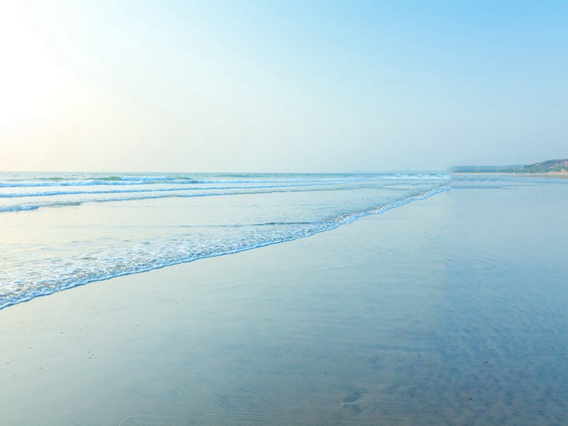 《遭田父泥饮美严中丞》古诗赏析-杜甫古诗