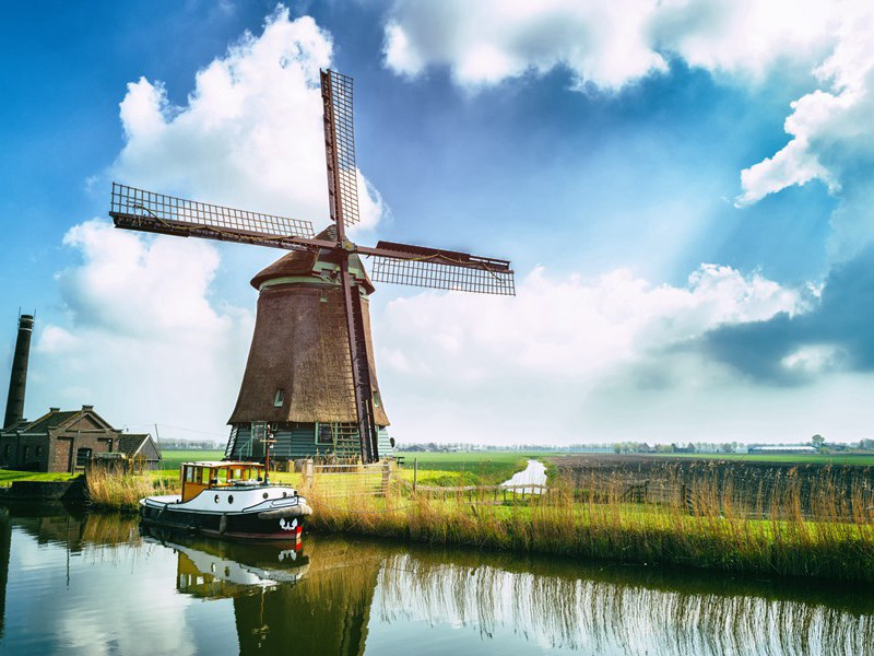 秦地罗敷女,采桑绿水边出处翻译赏析