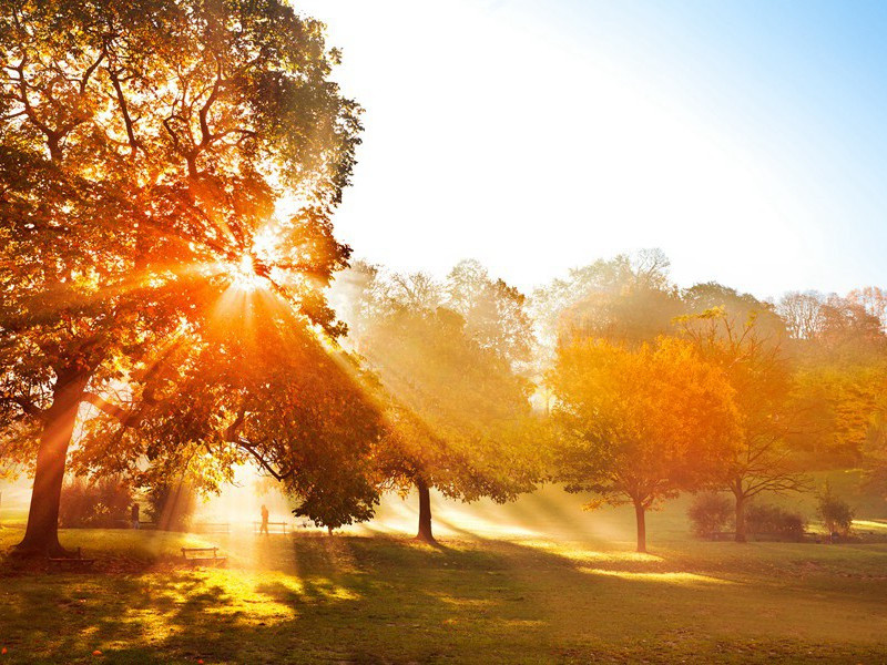 细雨茸茸湿楝花,南风树树熟枇杷的意思出处赏析