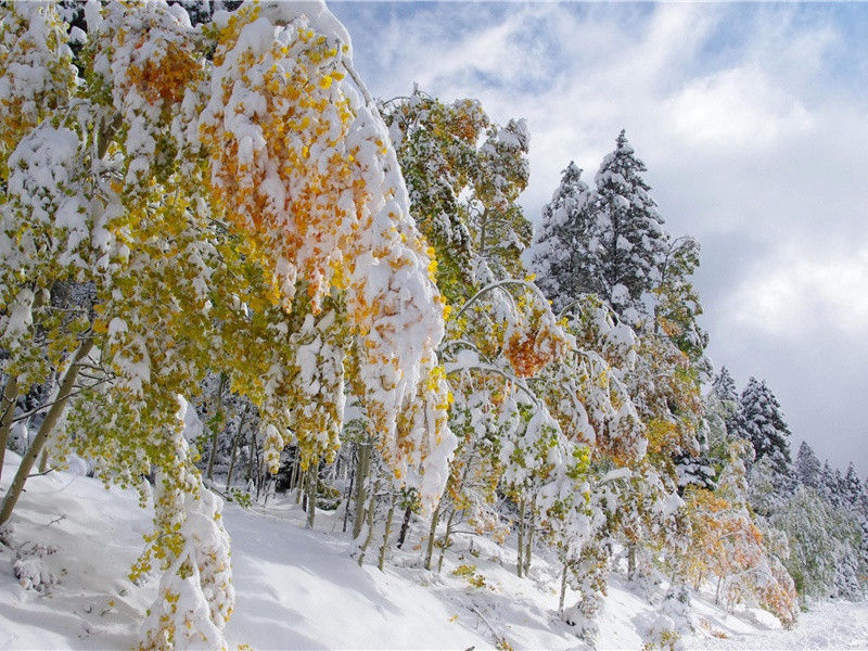 数有关中乱,何曾剑外清出处意思赏析