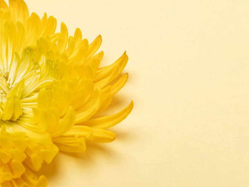 《暮江吟》古诗翻译赏析-白居易古诗