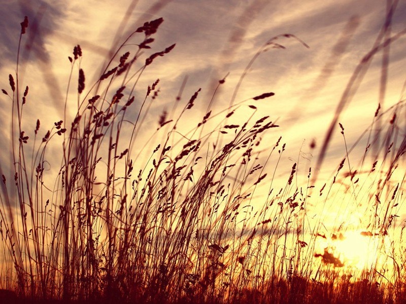 问甚时说与,佳音密耗,寄将秦镜,偷换韩香的意思出处赏析