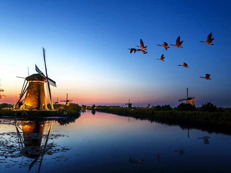 《过华清宫·长安回望绣成堆》古诗翻译赏析-杜牧古诗