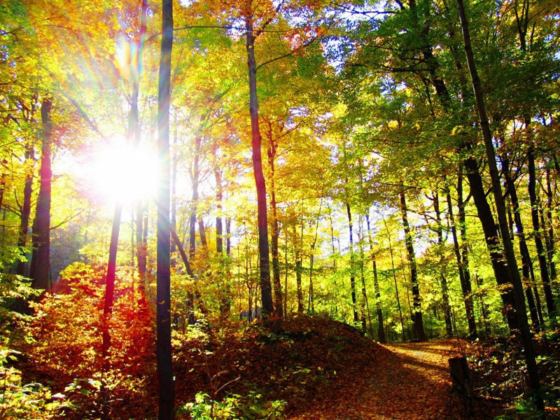 锦江春色来天地,玉垒浮云变古今的出处意思赏析