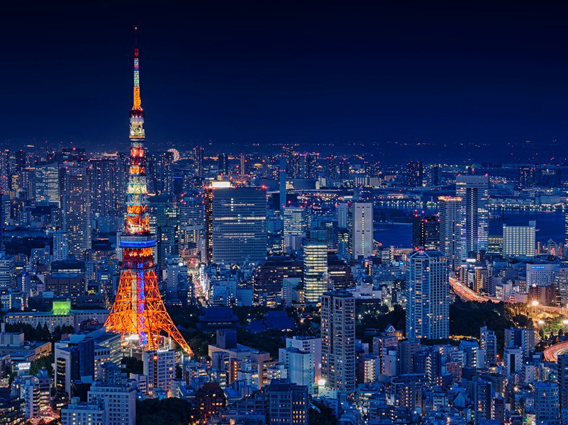 《佳人》古诗翻译赏析-杜甫古诗