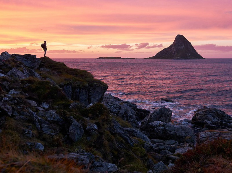 勾引东风,也知芳思难禁出处意思赏析